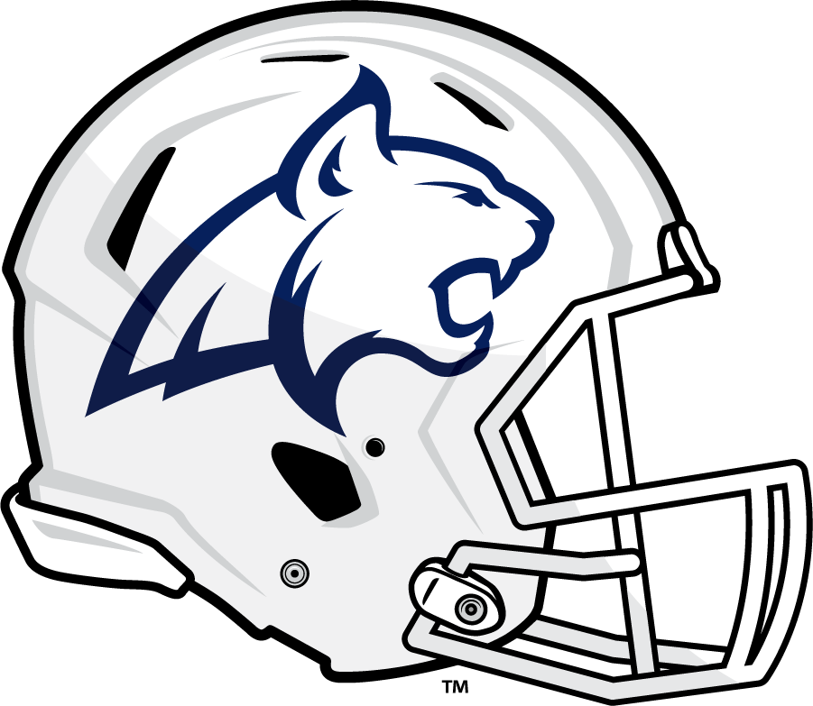 Montana State Bobcats 2016-Pres Helmet Logo diy DTF decal sticker